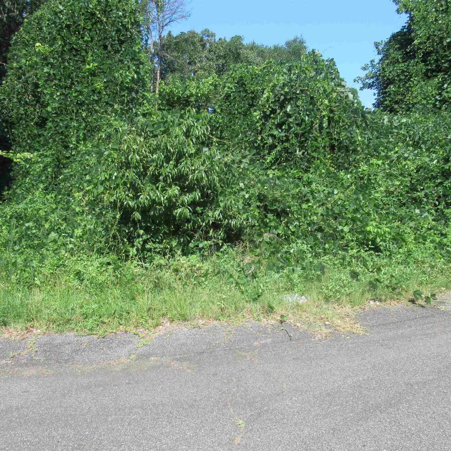 Vacant Land For Sale - 00 Old Schoolhouse<br/> Norris, SC 29657