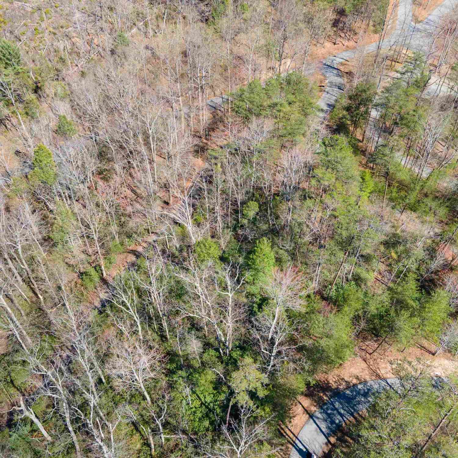 Vacant Land For Sale - 126 Kellerman<br/> Lake Lure, SC 28746