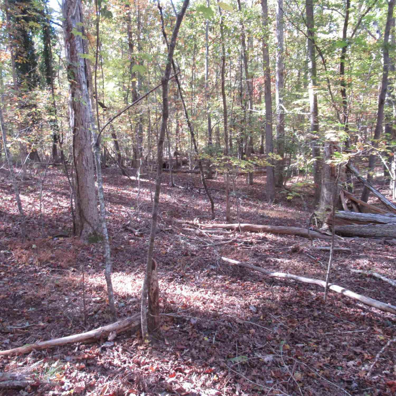 Vacant Land For Sale - 107 N Foxglove<br/> Westminster, SC 29693