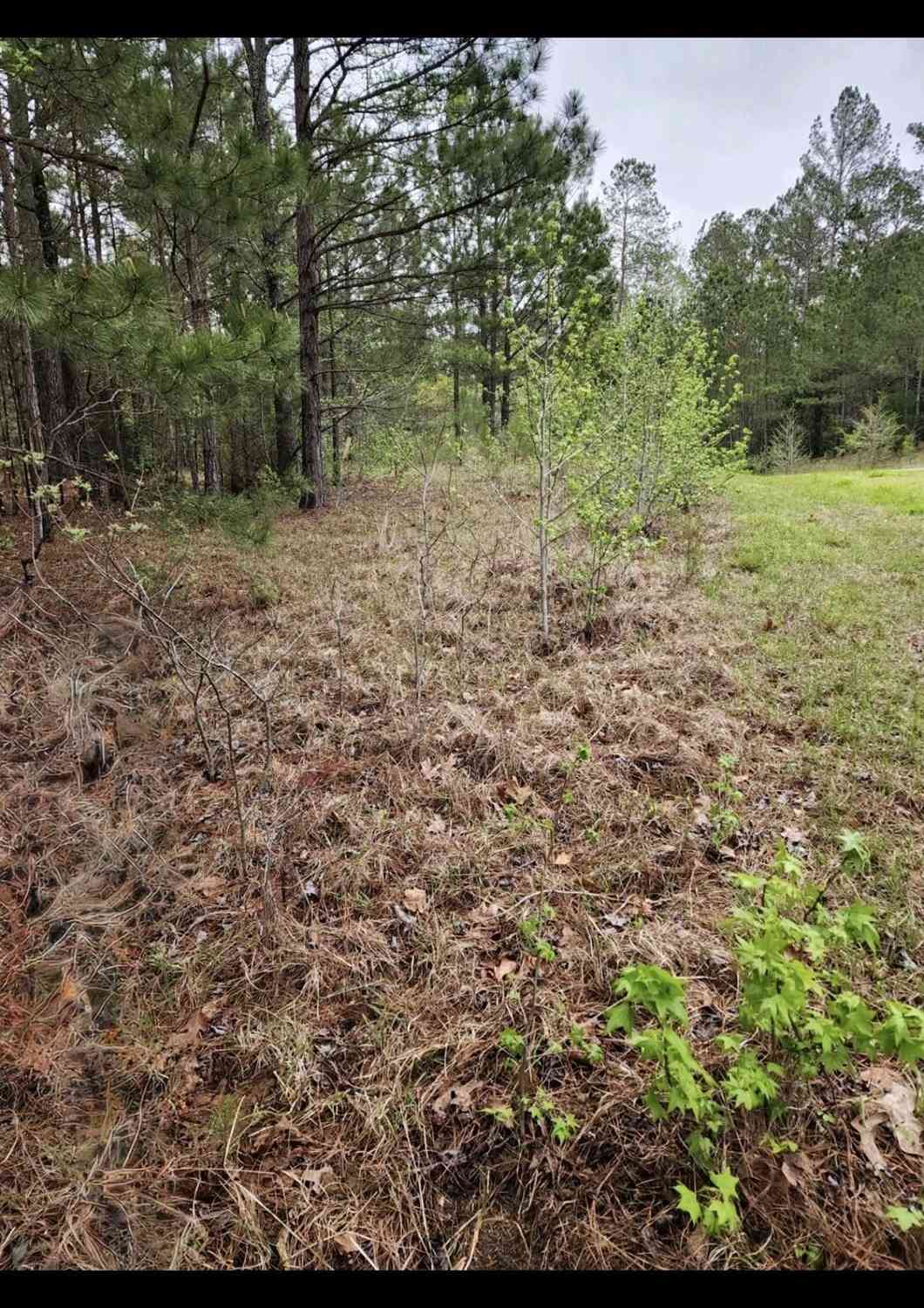 Vacant Land For Sale - 314 Watersedge<br/> Cross Hill, SC 29332