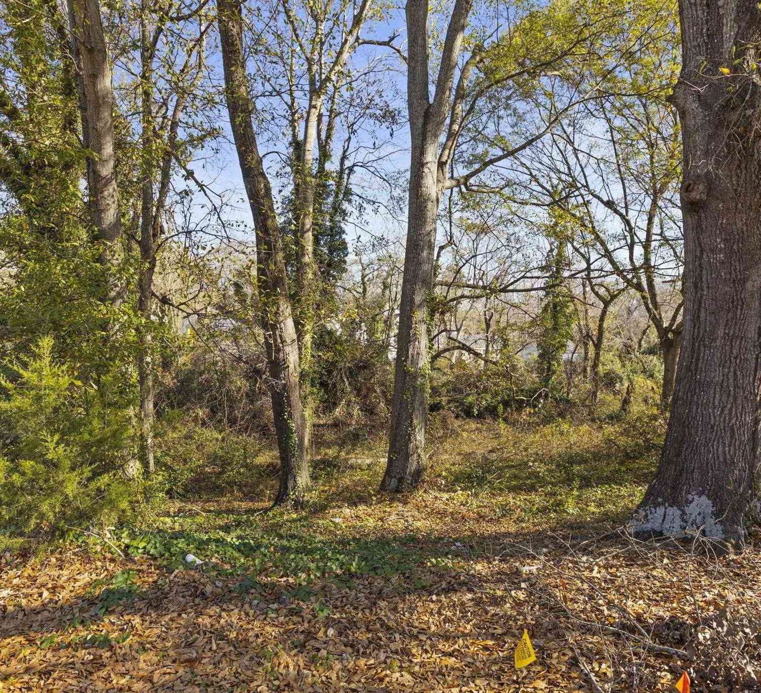 Vacant Land For Sale - Tuskegee<br/> Greenville, FL 29607