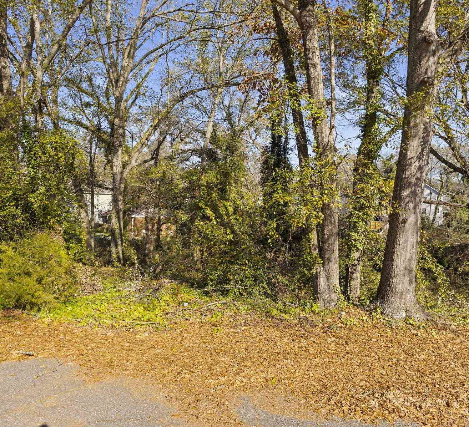 Vacant Land For Sale - Quarter<br/> Greenville, FL 29607