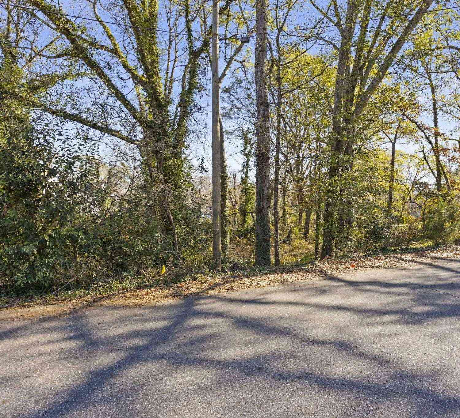 Vacant Land For Sale - 9 Quarter<br/> Greenville, FL 29607