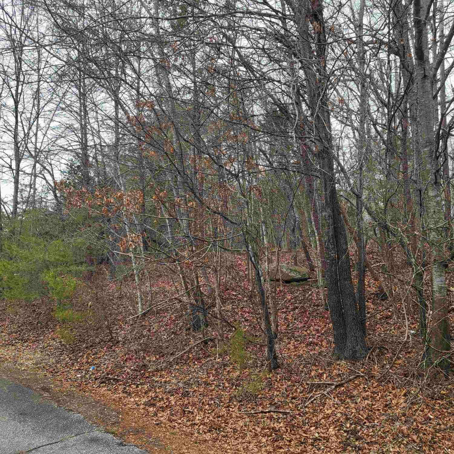 Vacant Land For Sale - 00 Campbell Covered Bridge<br/> Landrum, SC 29356