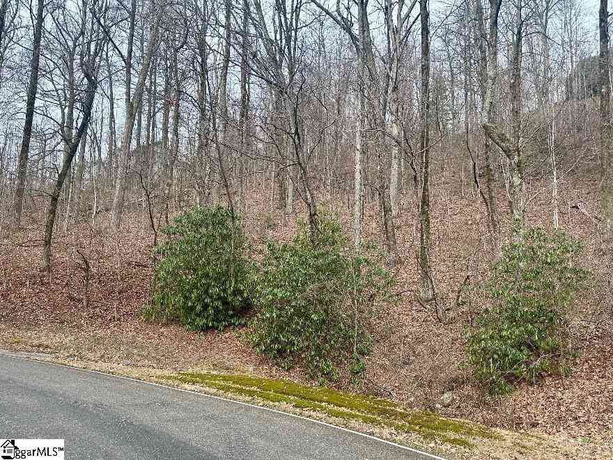 Vacant Land For Sale - 00 Indian Pipe<br/> Landrum, SC 29356