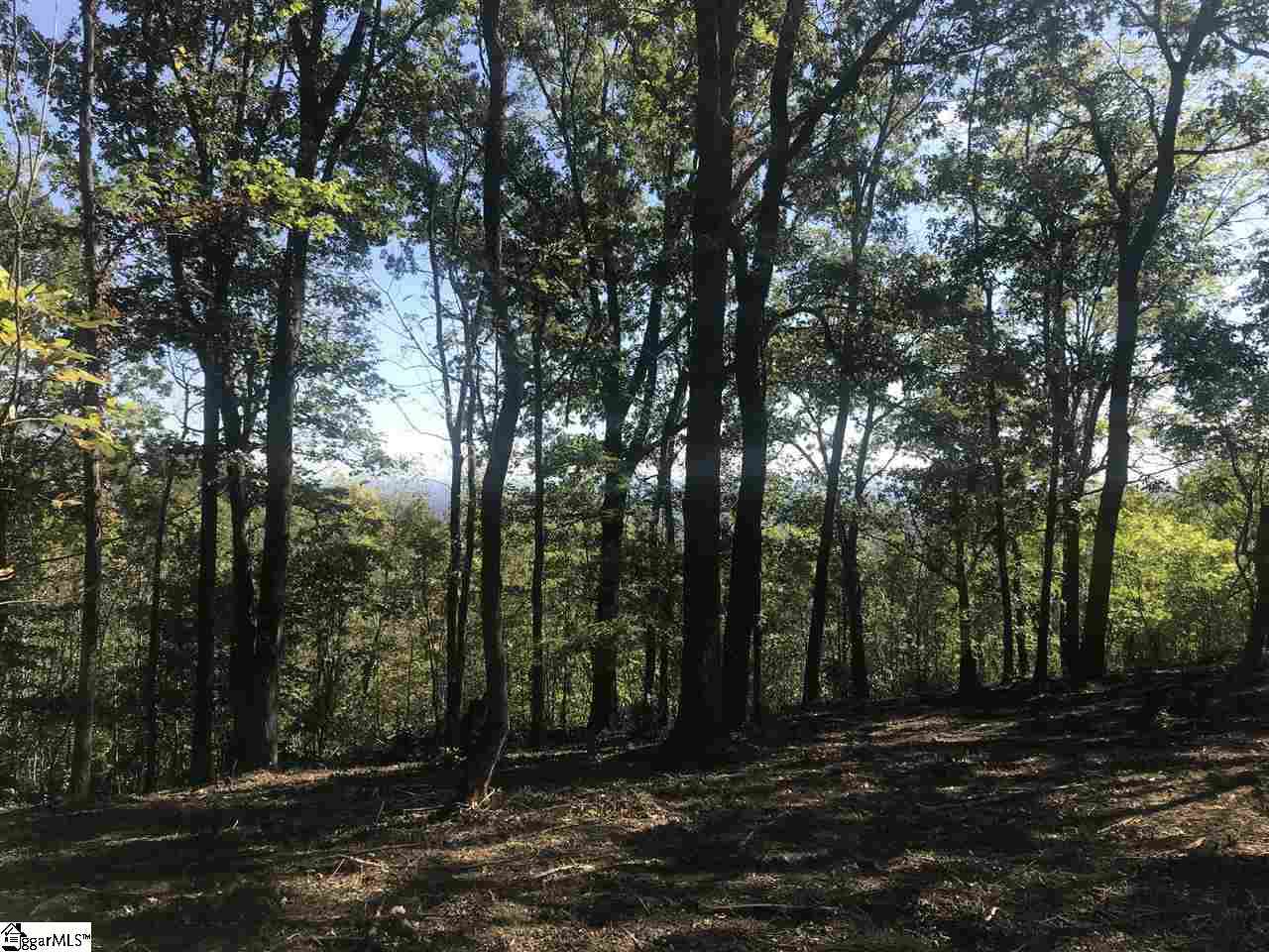 Vacant Land For Sale - 143 Raptor<br/> Landrum, SC 29356