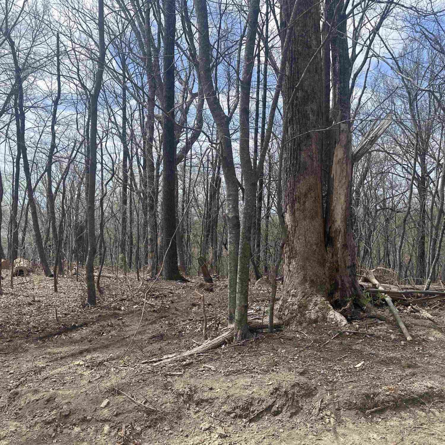 Vacant Land For Sale - 00 Flintrock Knob<br/> Landrum, SC 29356