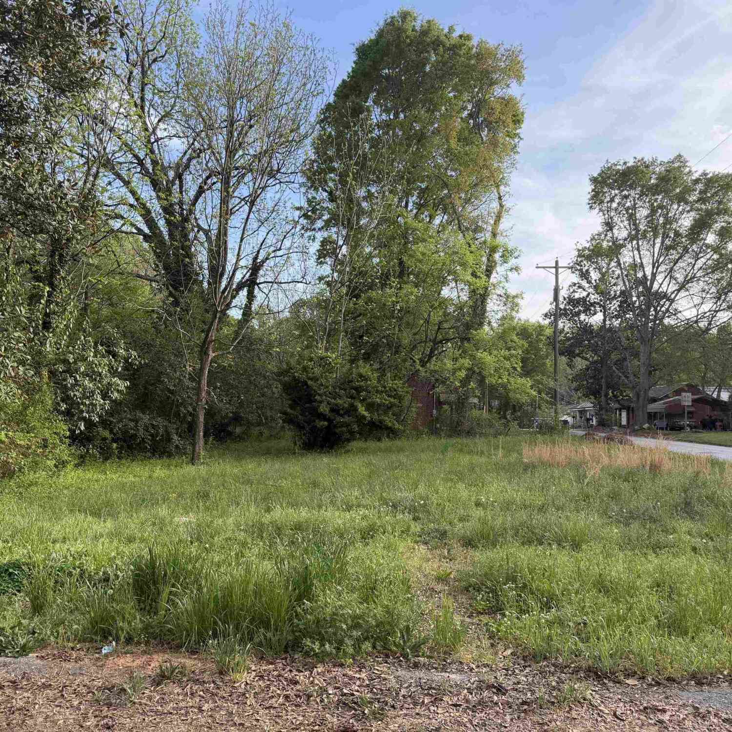 Vacant Land For Sale - 306 Cemetery<br/> Laurens, SC 29360