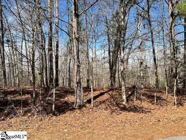 Vacant Land For Sale - 137 Katora<br/> Pelzer, SC 29669