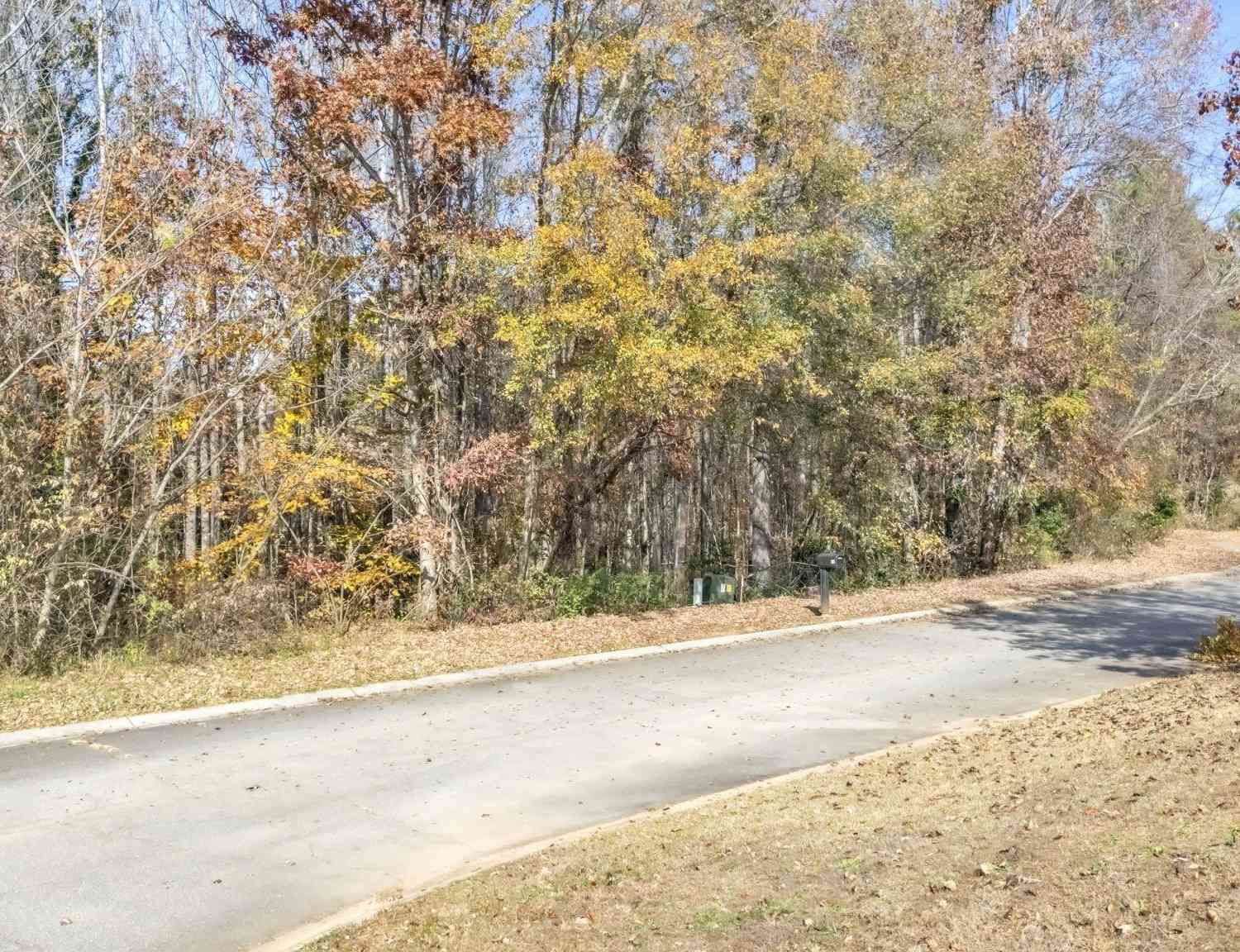 Vacant Land For Sale - 112 Joes<br/> Easley, SC 29642