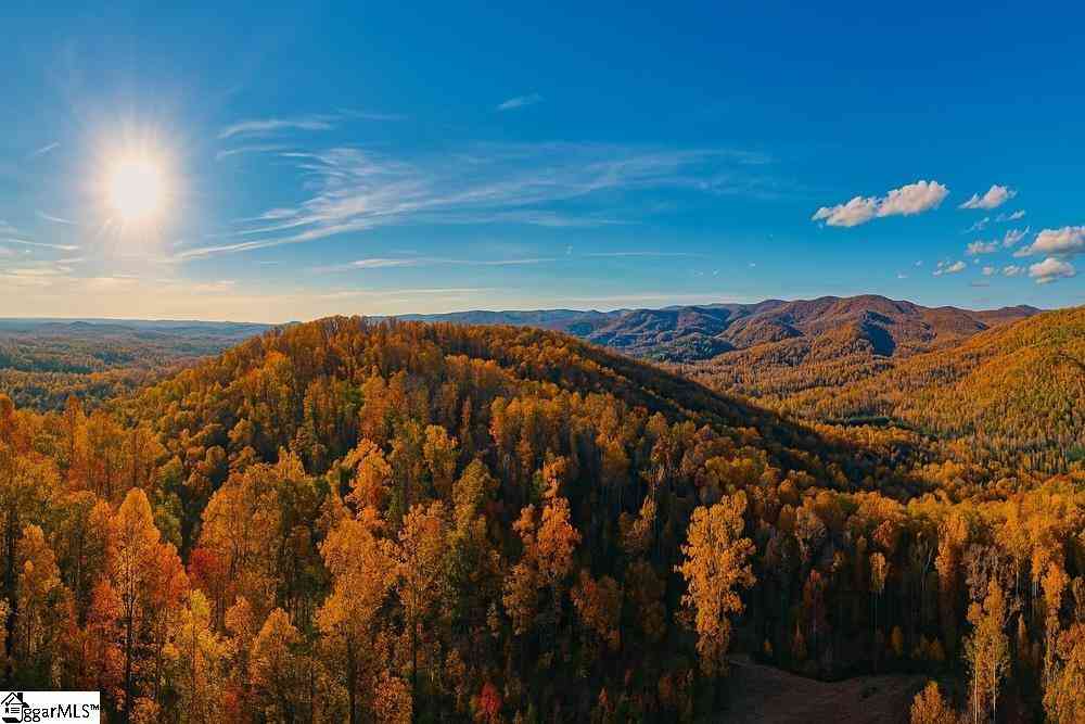 Vacant Land For Sale - 200 Chestnut Mountain<br/> Travelers Rest, SC 29660