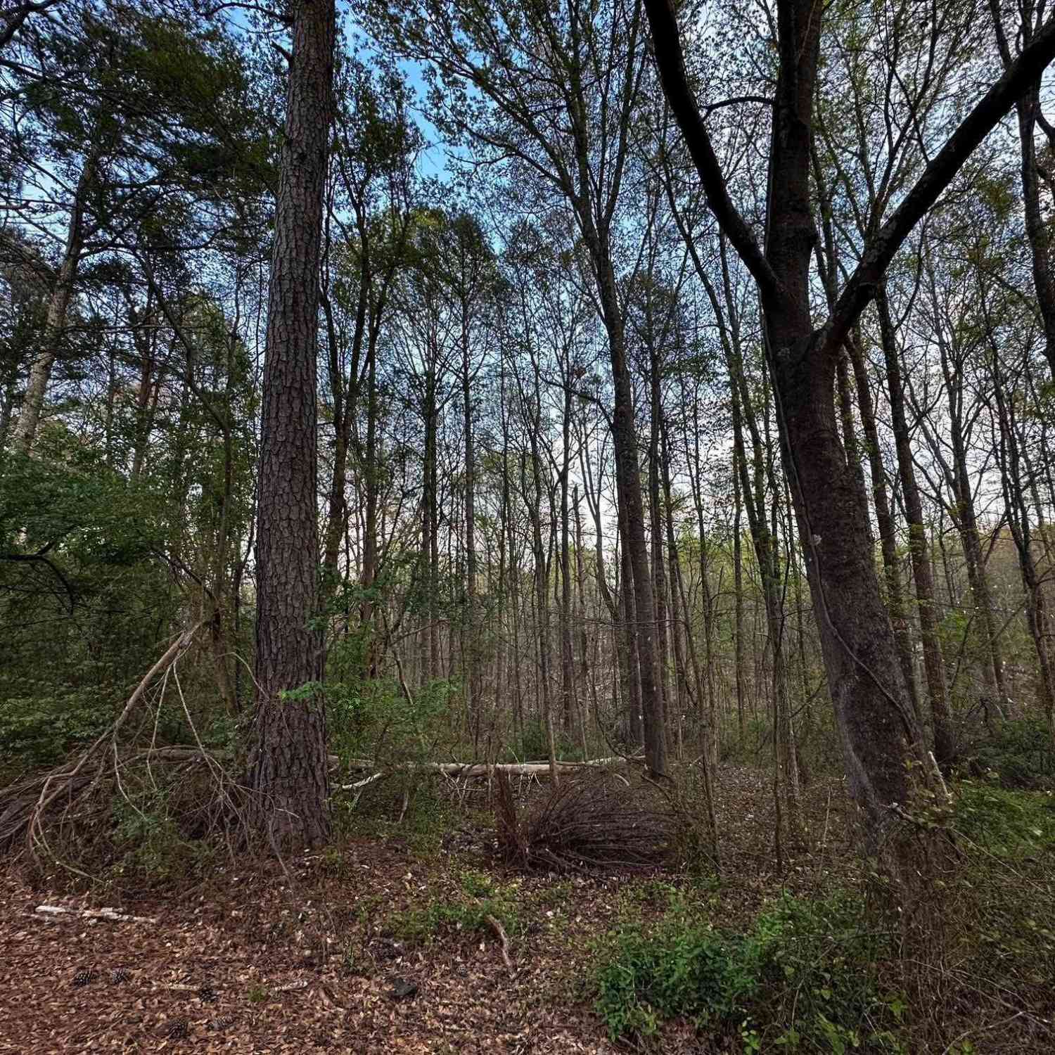 Vacant Land For Sale - 101 Sugarmill<br/> Moore, SC 29369