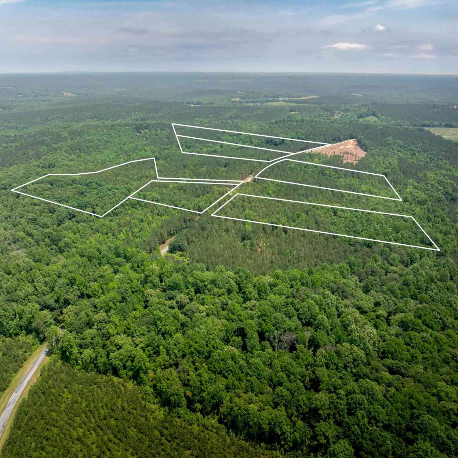 Vacant Land For Sale - 06 Elford Grove<br/> Jonesville, SC 29353