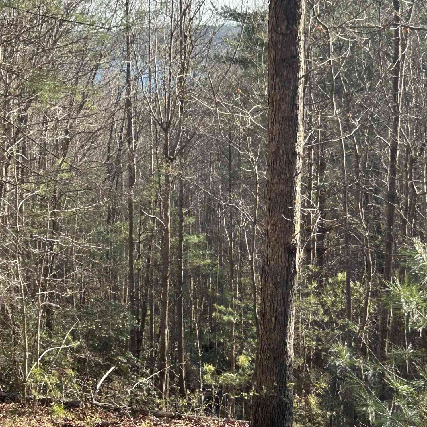 Vacant Land For Sale - LOT 160 Club House<br/> Sunset, SC 29685