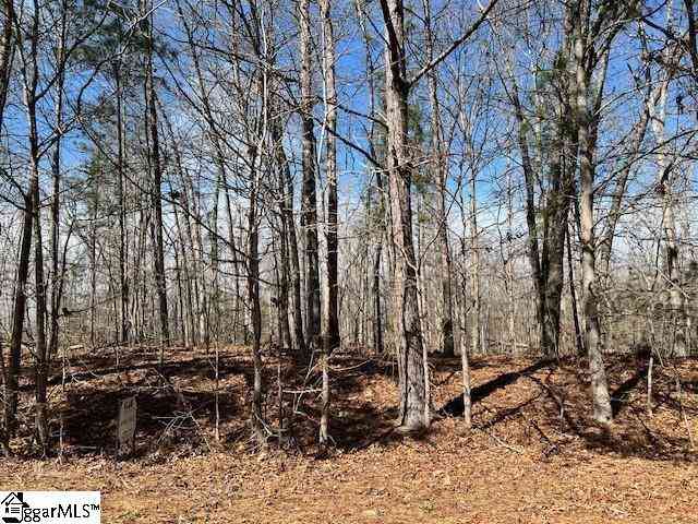 Vacant Land For Sale - 127 Katora<br/> Pelzer, SC 29669