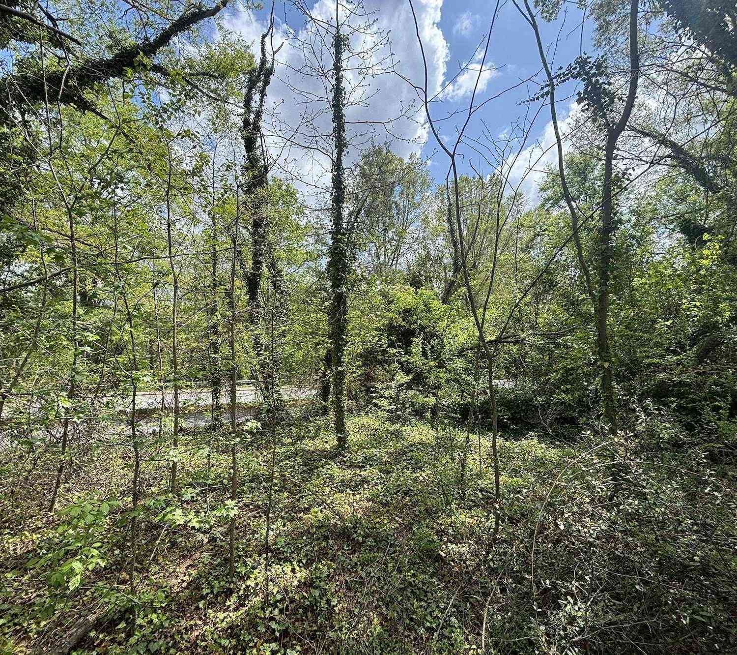 Vacant Land For Sale - 00 Ansel<br/> Spartanburg, SC 29306