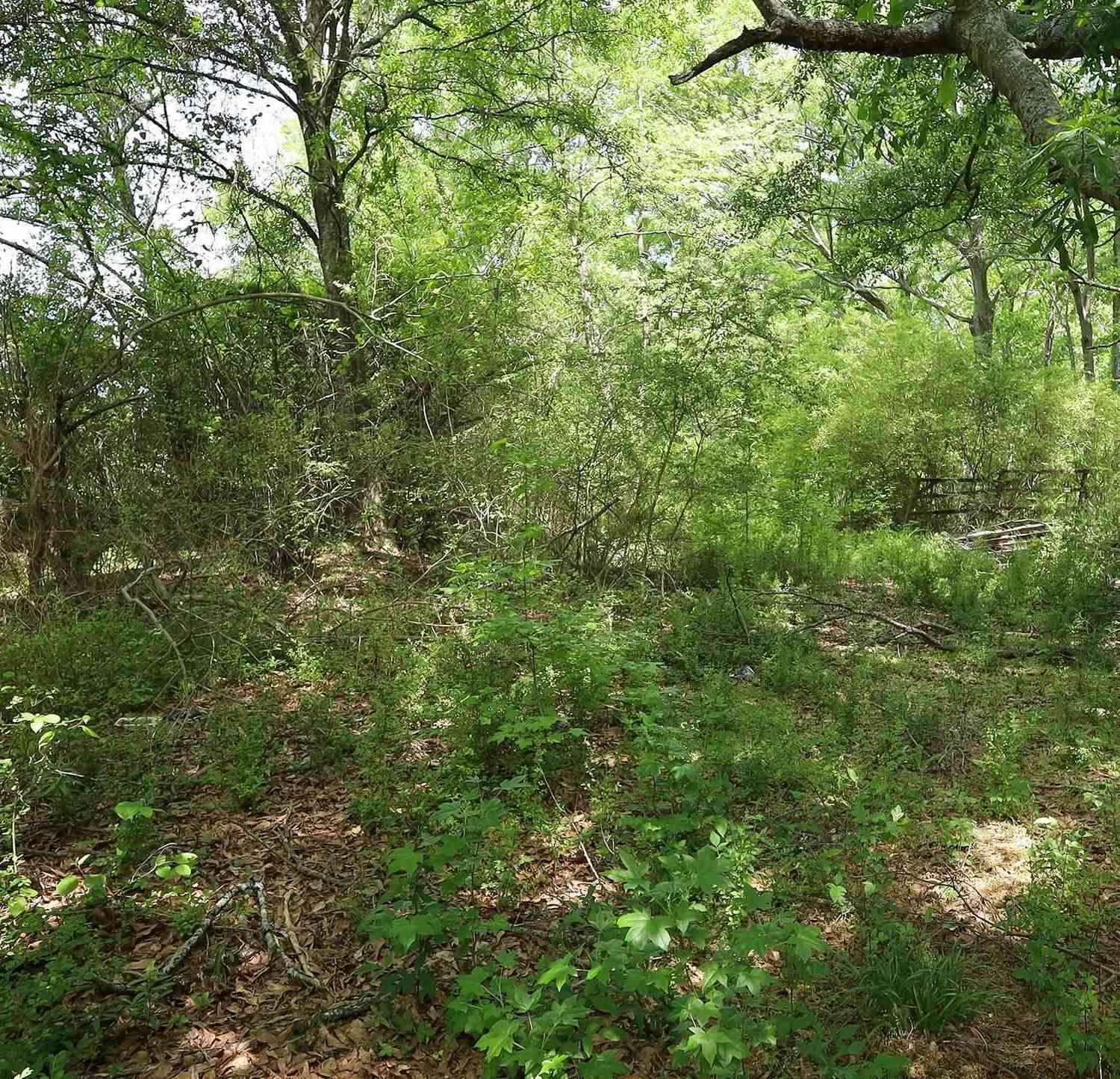Vacant Land For Sale - 3916 Highway 24<br/> Anderson, SC 29626
