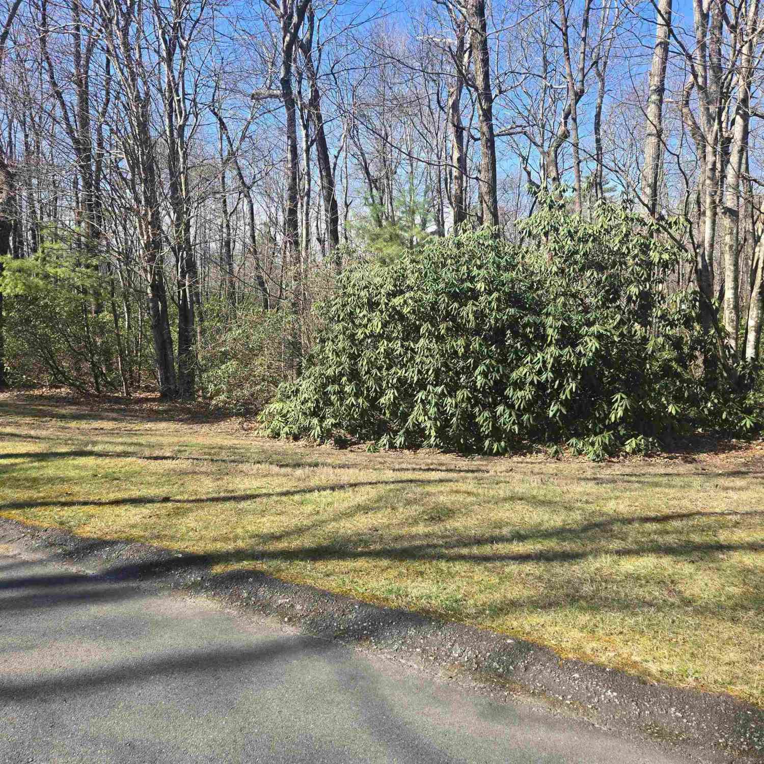 Vacant Land For Sale - 319 Cliff Ridge<br/> Cleveland, SC 29635