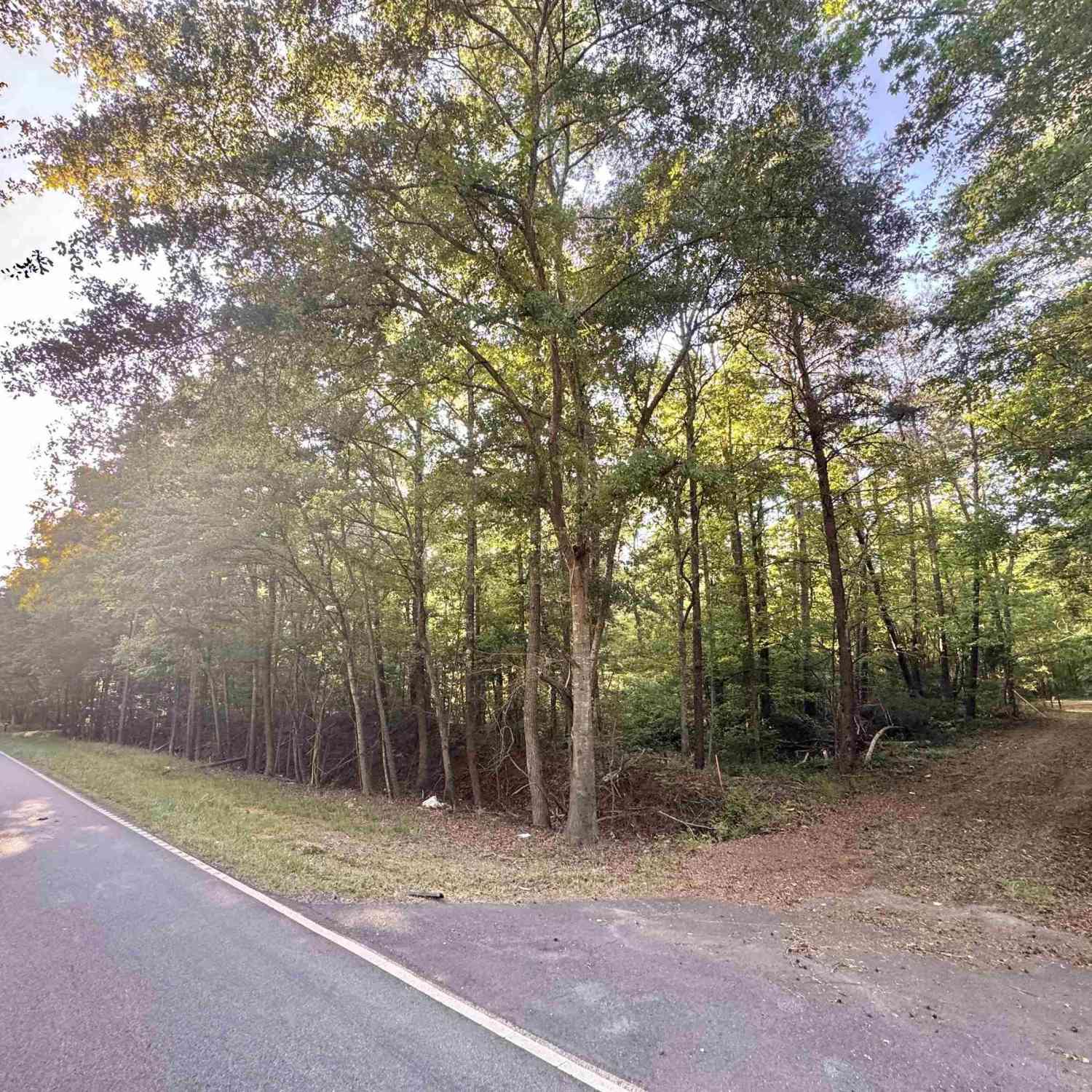 Vacant Land For Sale - 00 Old Greenville<br/> Liberty, SC 29657