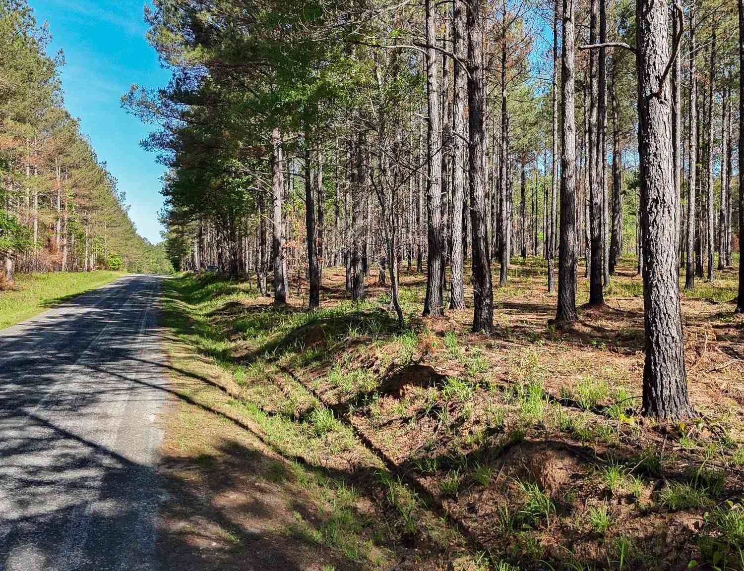 Vacant Land For Sale - 02 Lisbon<br/> Laurens County, Mountville, SC 29370