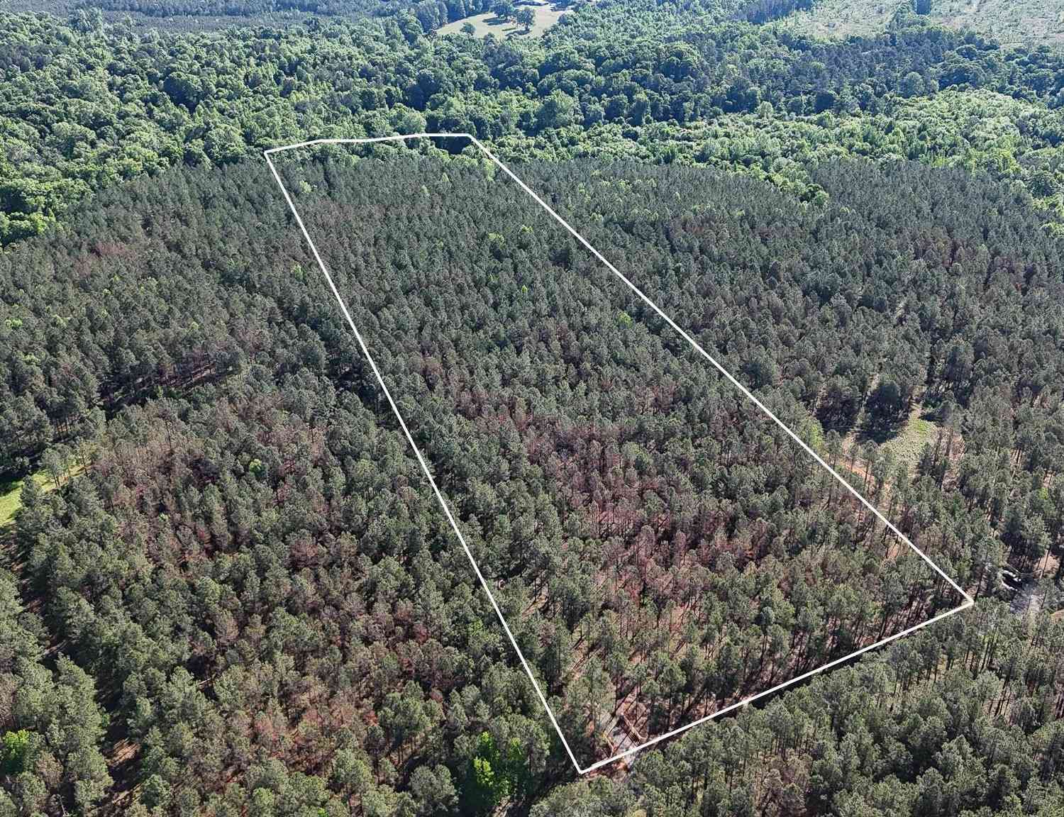 Vacant Land For Sale - 04 Lisbon<br/> Laurens County, Mountville, SC 29370