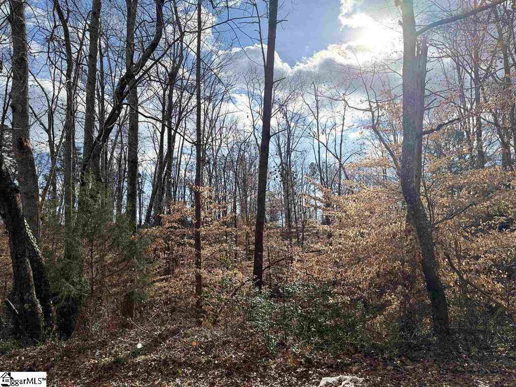 Vacant Land For Sale - 128 Willow Pond<br/> Piedmont, SC 29675