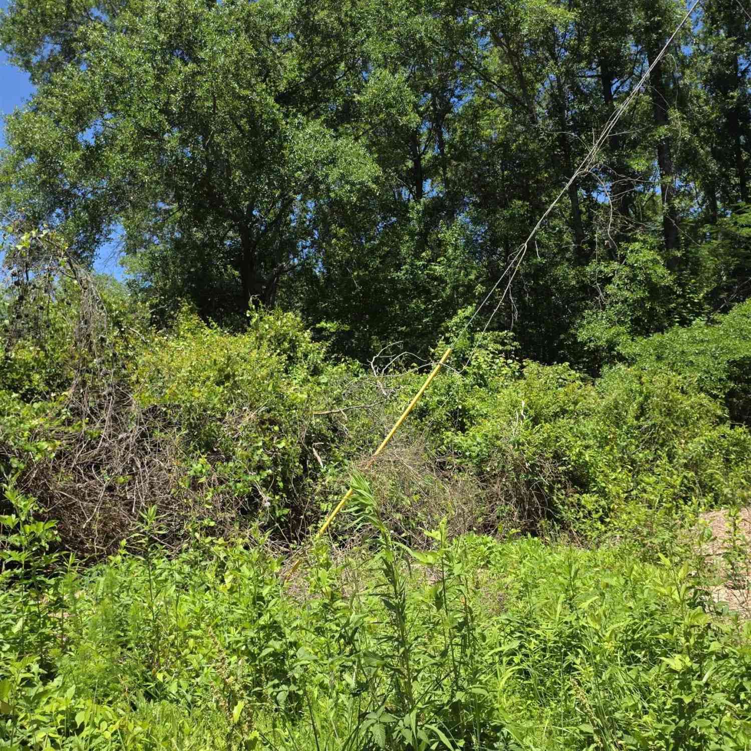 Vacant Land For Sale - Tree Top<br/> Easley, SC 29642