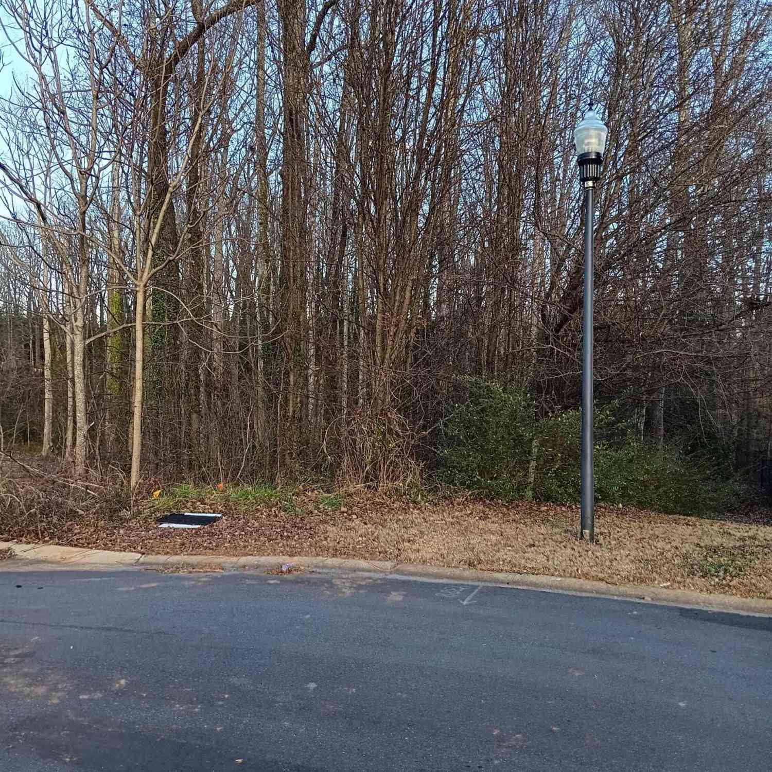 Vacant Land For Sale - 537 Harvest Valley<br/> Spartanburg, SC 29303
