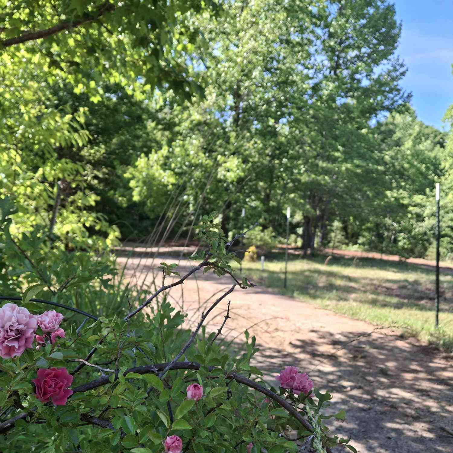 Mobile Home For Sale - 130 Sunny<br/> Pickens, SC 29671