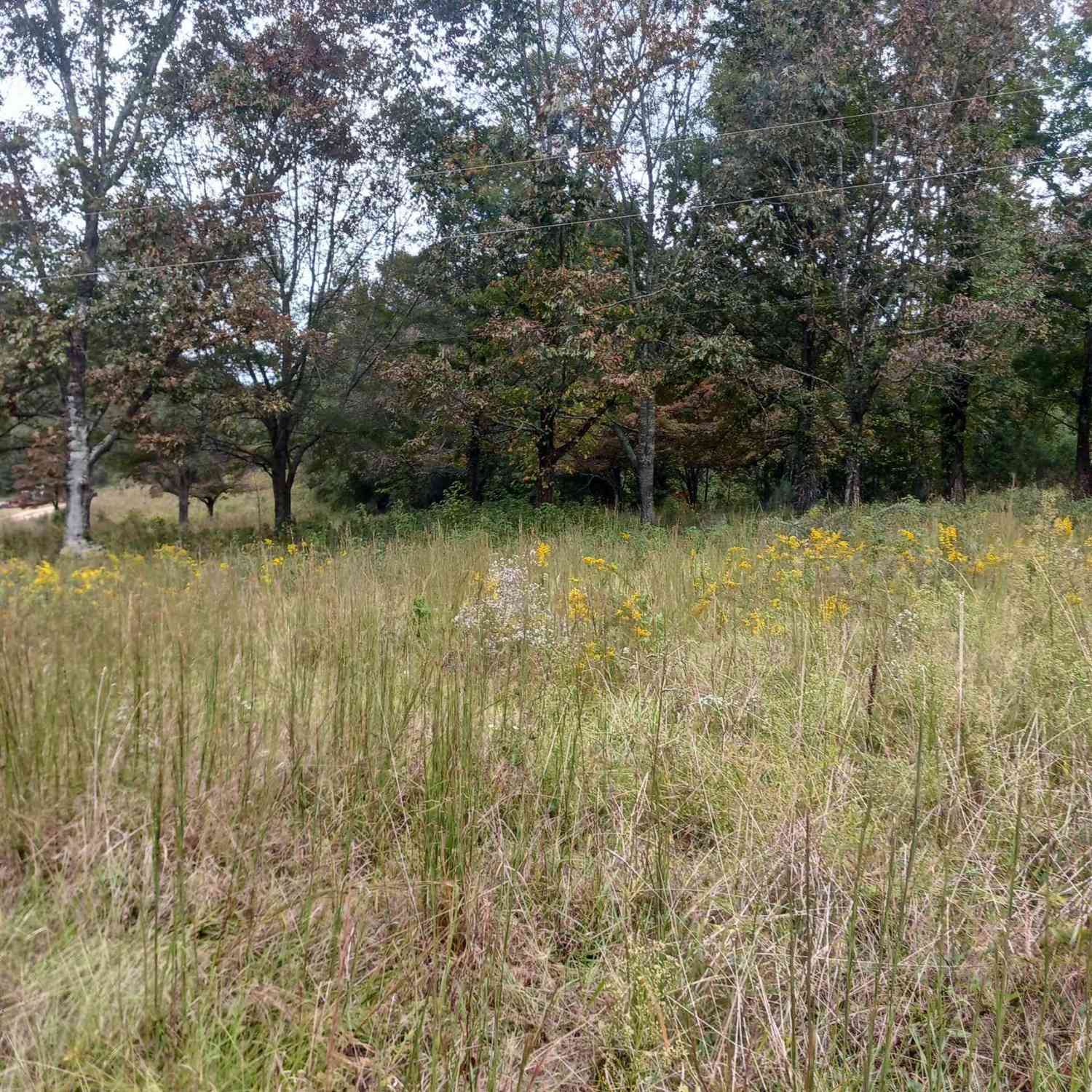 Vacant Land For Sale - 1549 Midway<br/> Pickens, SC 29671