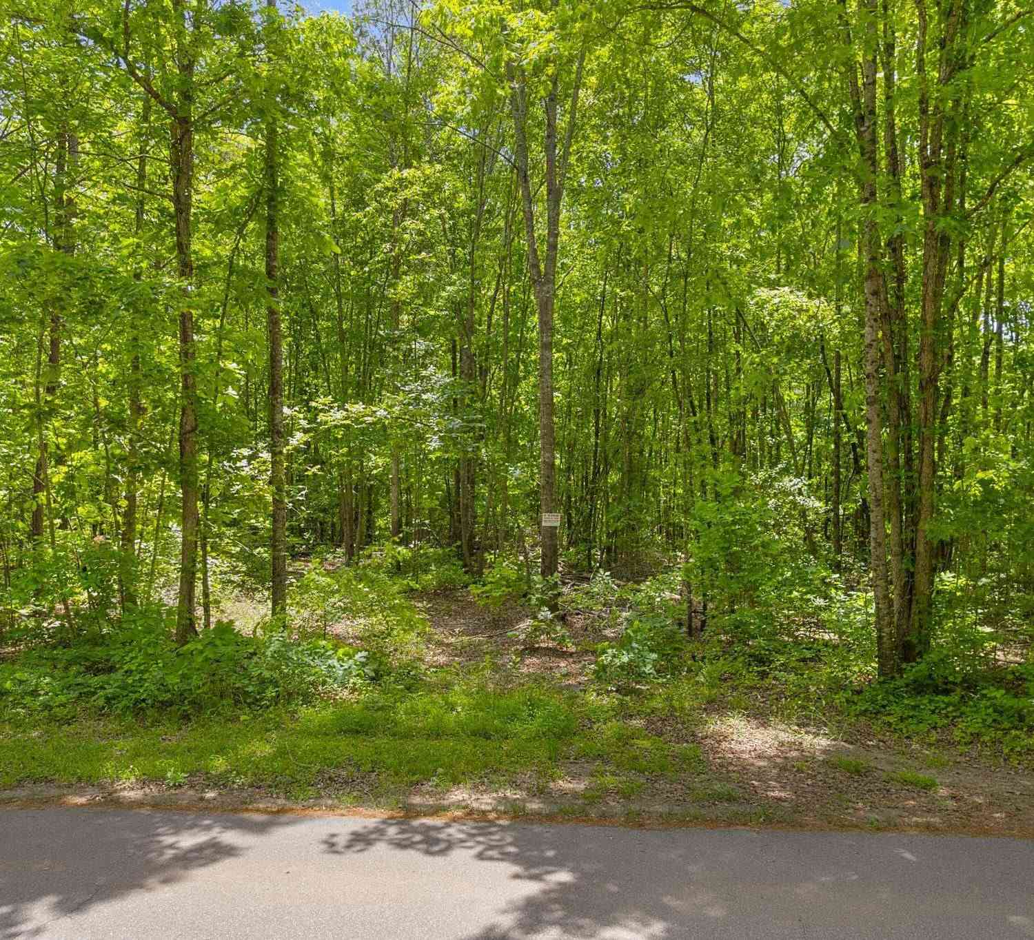 Vacant Land For Sale - 00 Erin<br/> Pickens, SC 29671