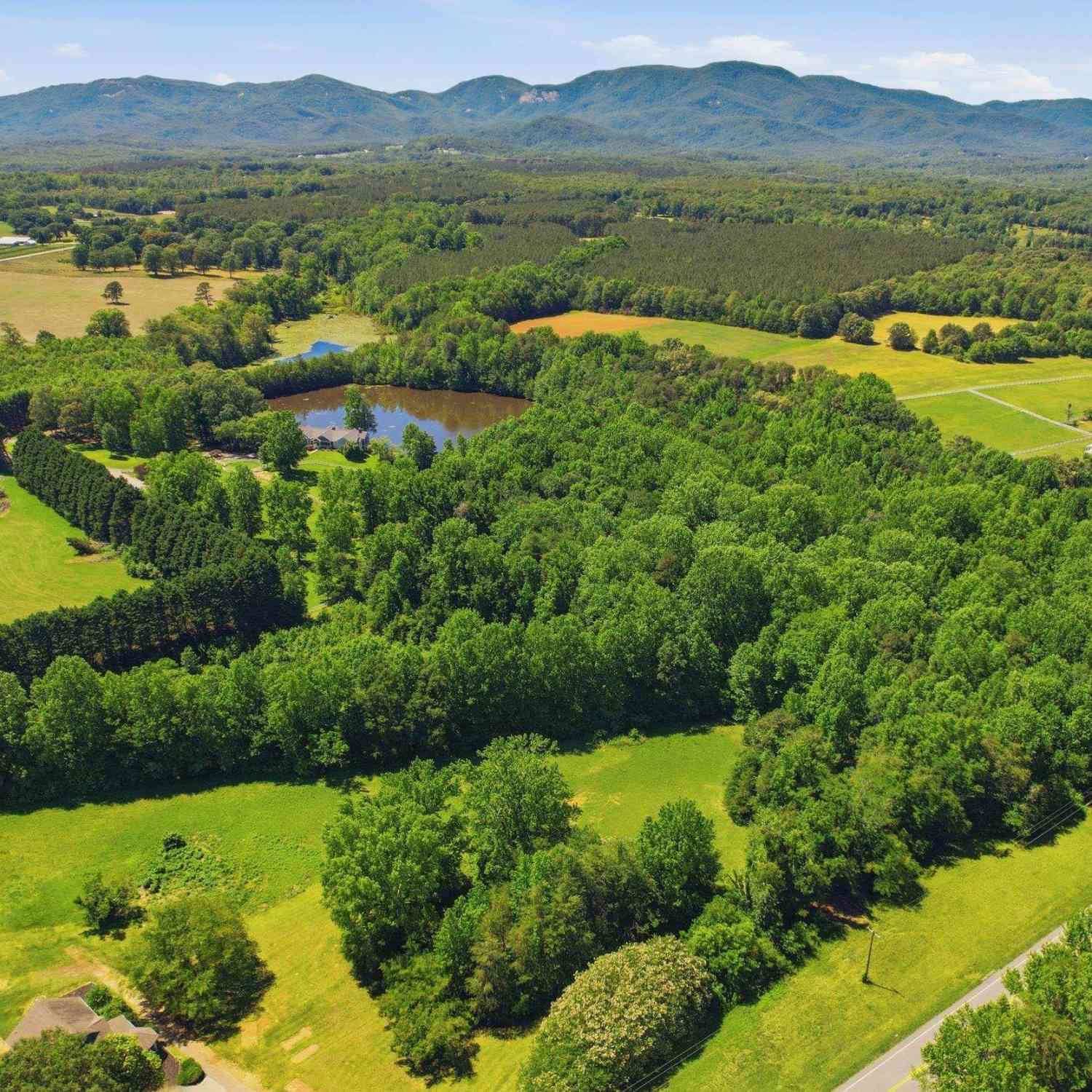 Vacant Land For Sale - 5430 Sc-14<br/> Landrum, SC 29356