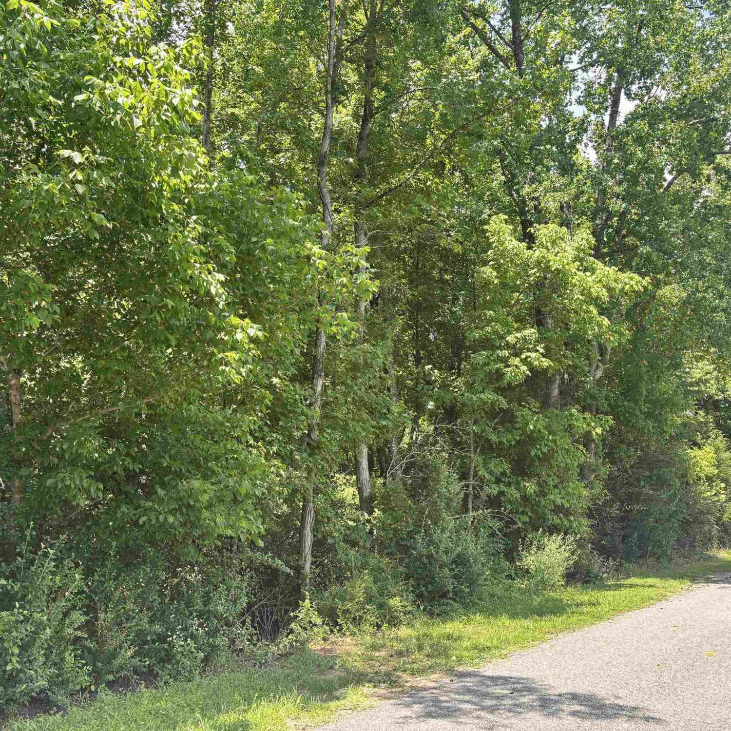Vacant Land For Sale - 00 Borders<br/> Blacksburg, SC 29702