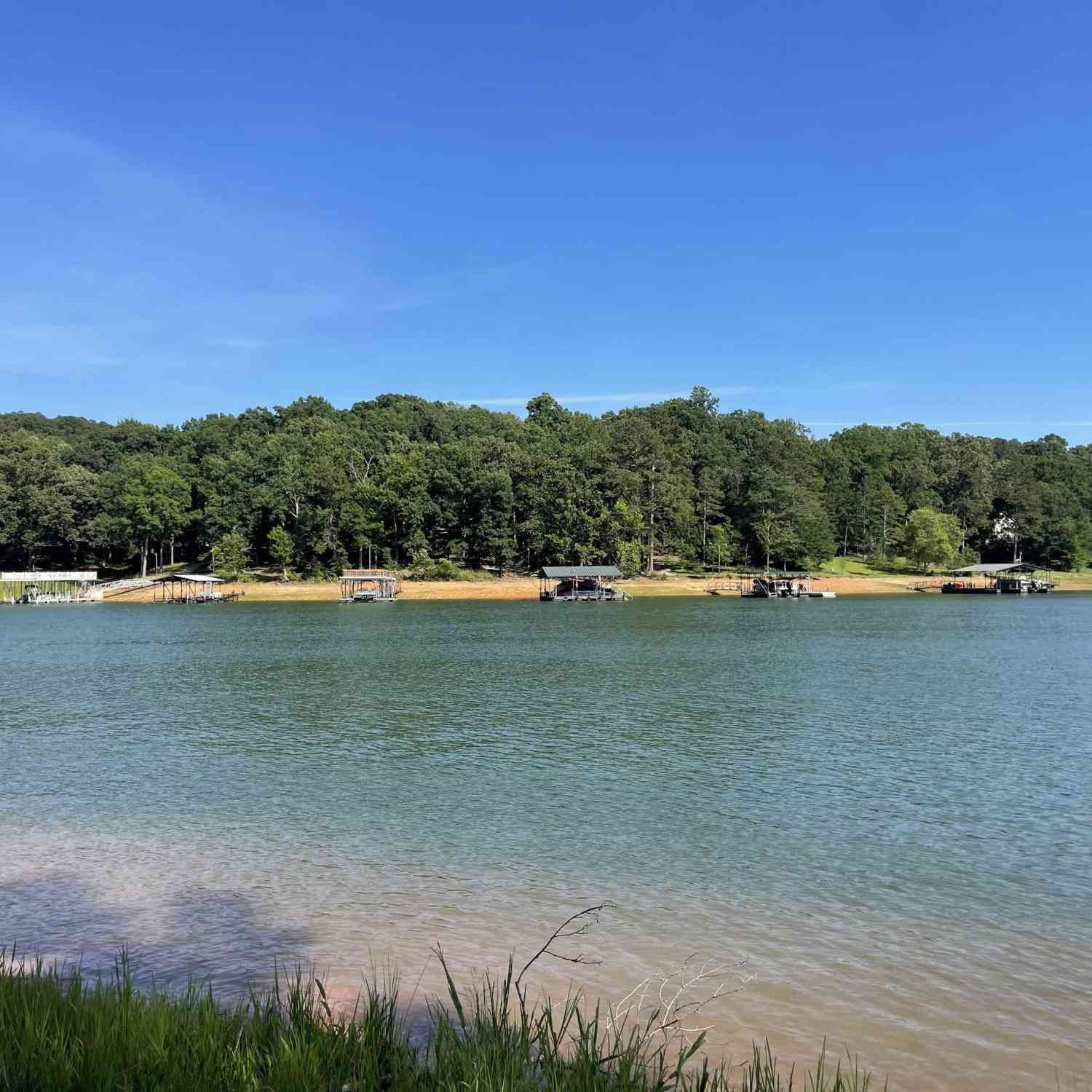 Vacant Land For Sale - 206 Park<br/> Townville, SC 29689