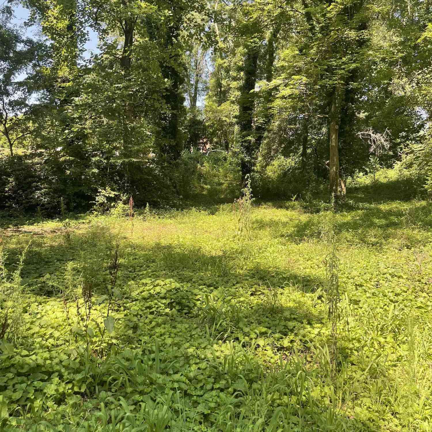 Vacant Land For Sale - 151 Coldstream<br/> Boiling Springs, SC 29316