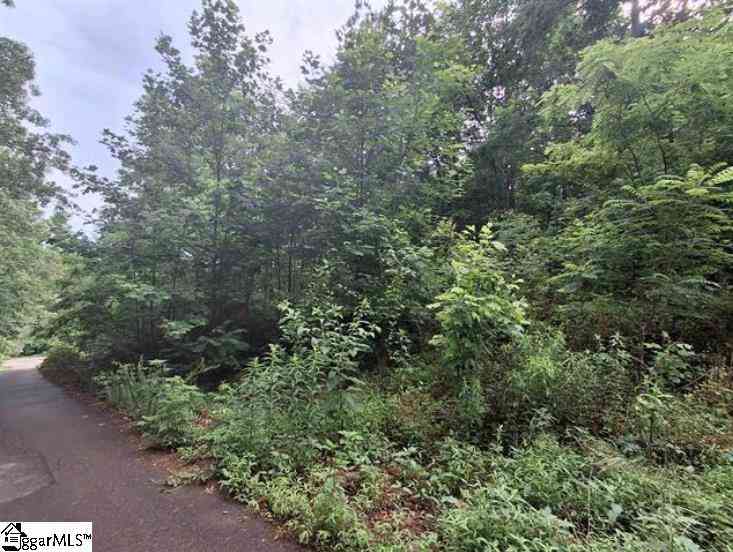 Mobile Home For Sale - 137 High Top<br/> Pickens, SC 29671