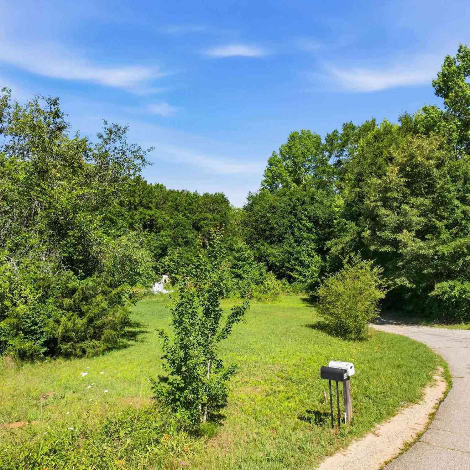 Slider Thumb