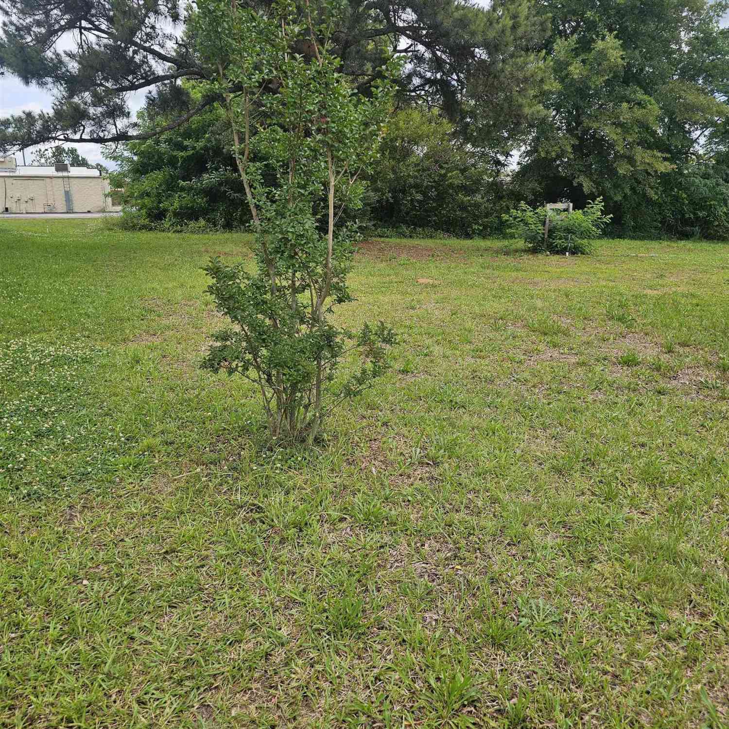 Vacant Land For Sale - 201/203 Dillon<br/> Clinton, SC 29325