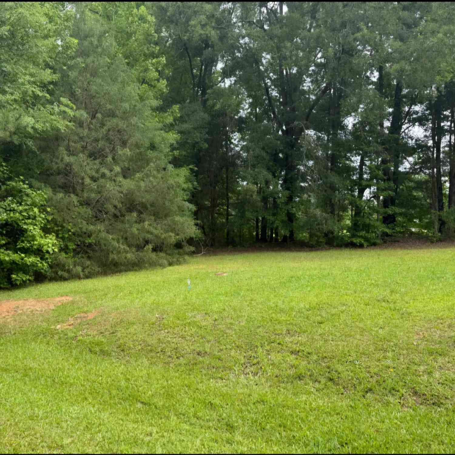 Vacant Land For Sale - 415 Dillon<br/> Clinton, SC 29325
