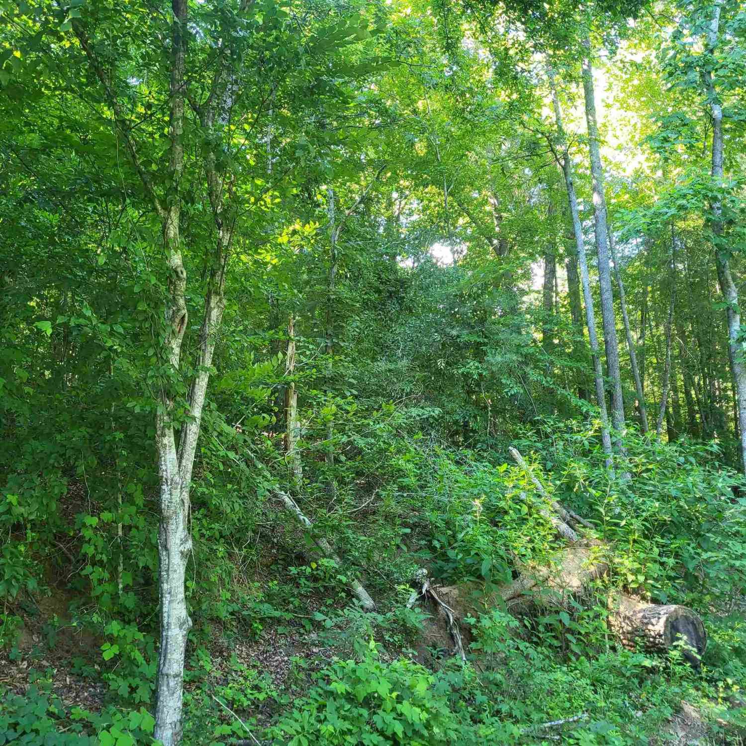 Vacant Land For Sale - 00 Hidden Valley<br/> Marietta, SC 29661