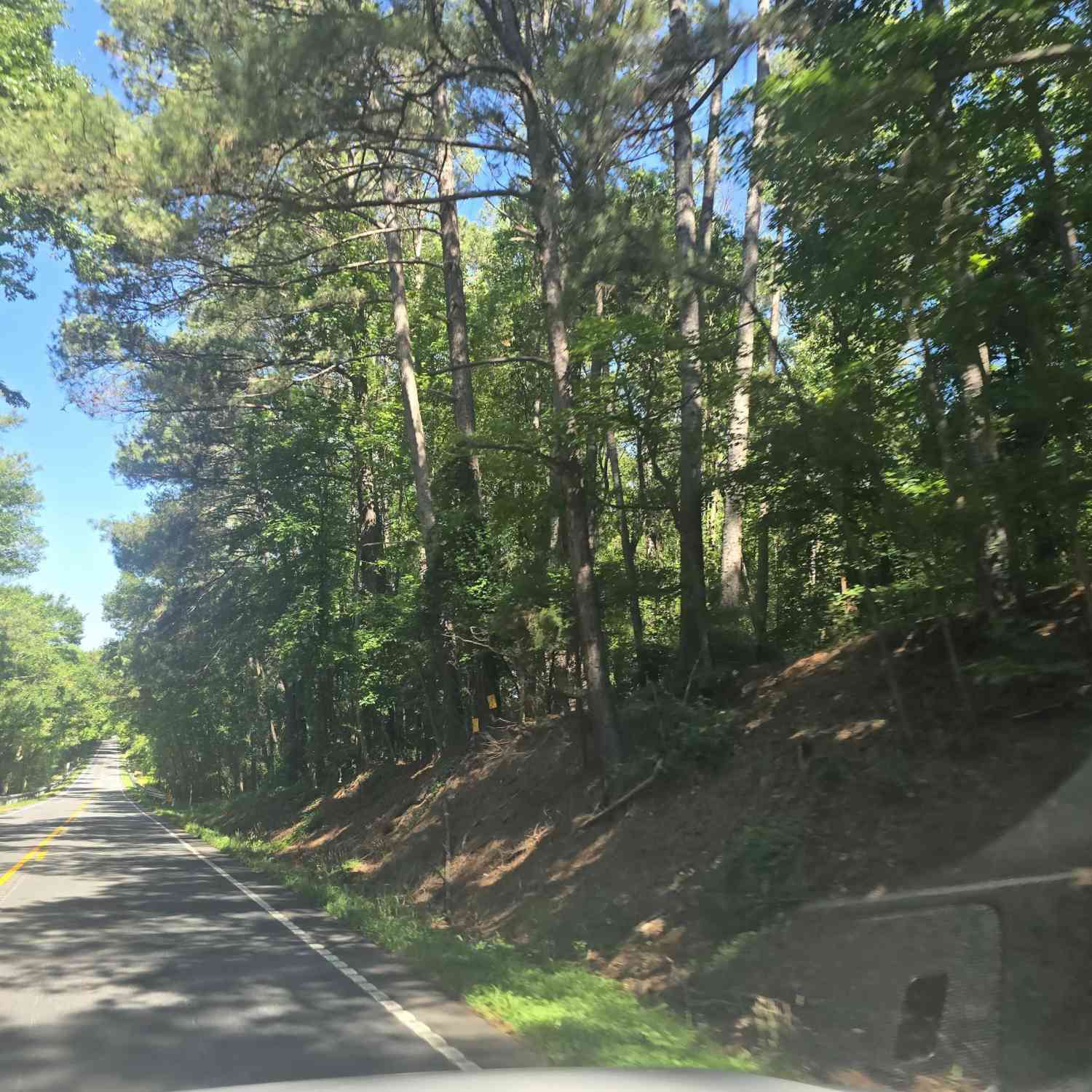 Vacant Land For Sale - 12.3 ACRES 243<br/> Anderson County, Townville, SC 29689