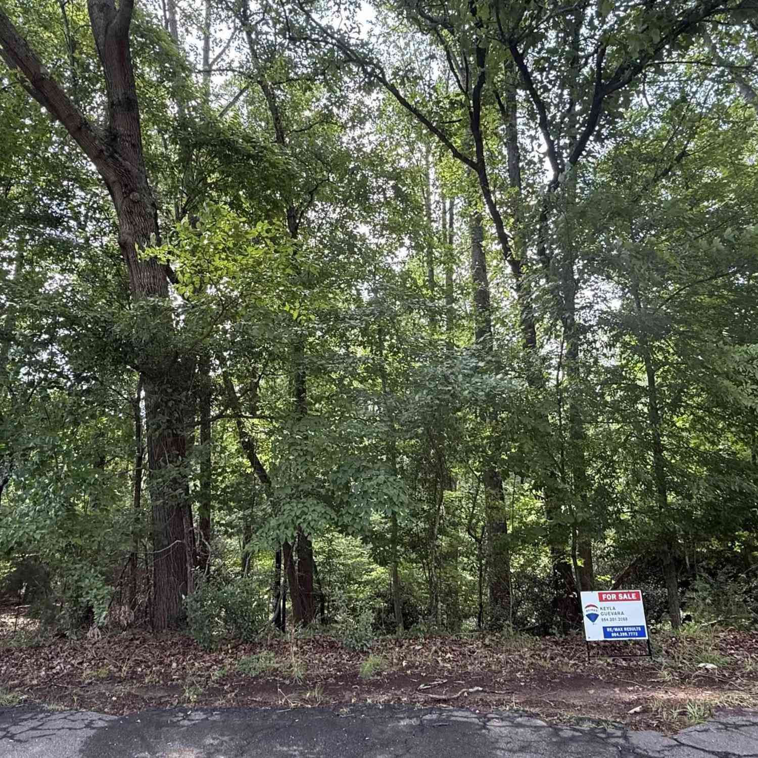Vacant Land For Sale - LOT 24 Mountain View<br/> Central, SC 29630