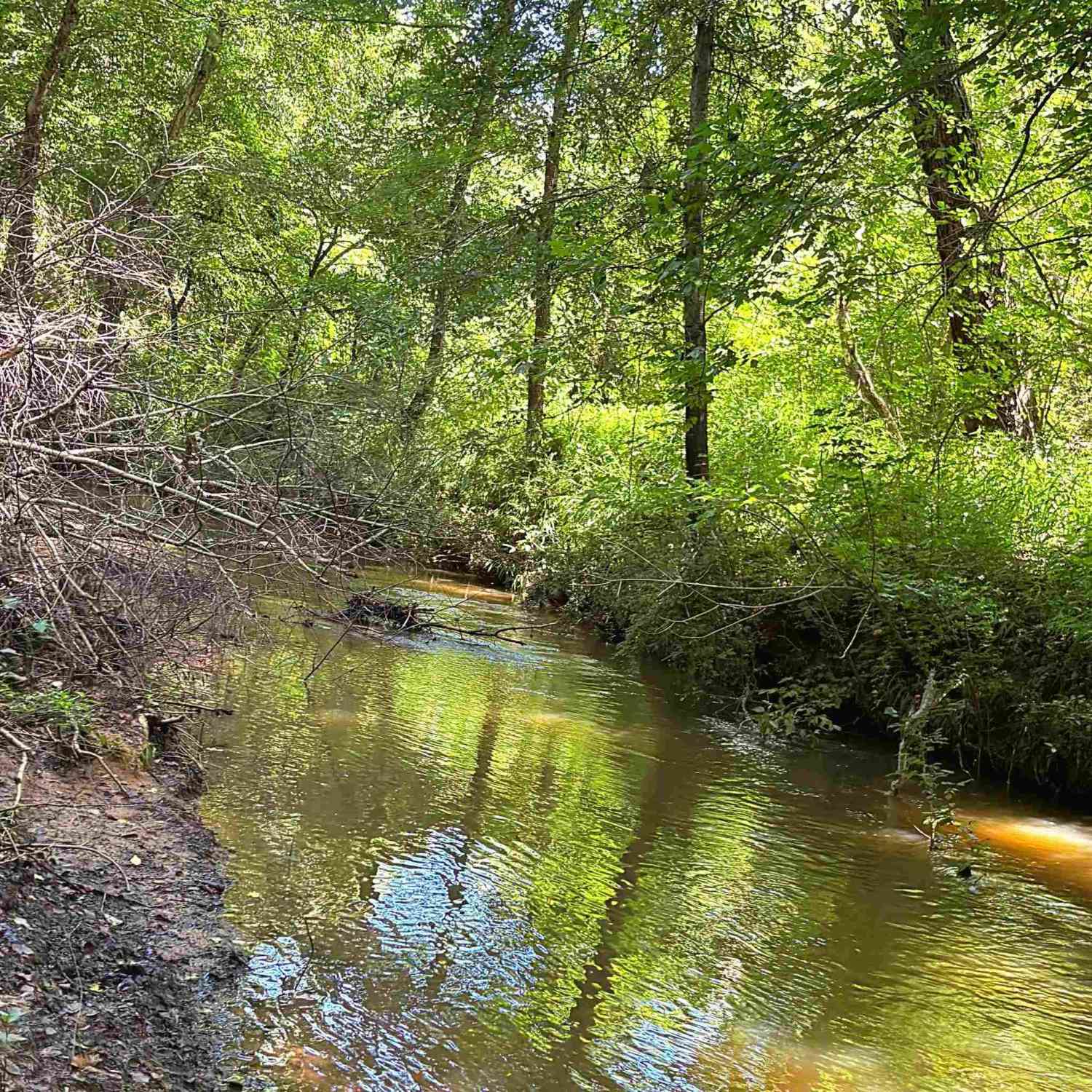 Vacant Land For Sale - 144 Mountain Creek<br/> Laurens County, Gray Court, SC 29645