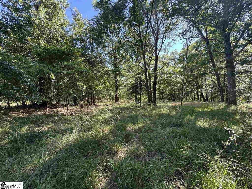 Vacant Land For Sale - 00 Farmers Hill<br/> Liberty, SC 29657