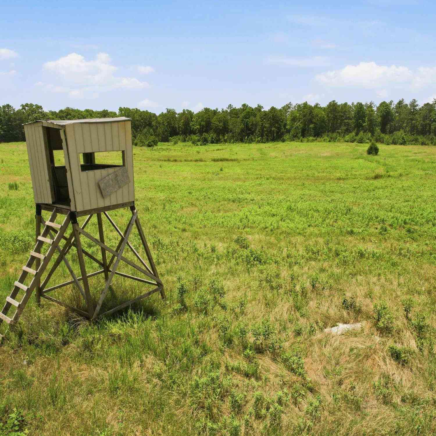 Vacant Land For Sale - 839 Duncan Creek Church<br/> Laurens, SC 29360