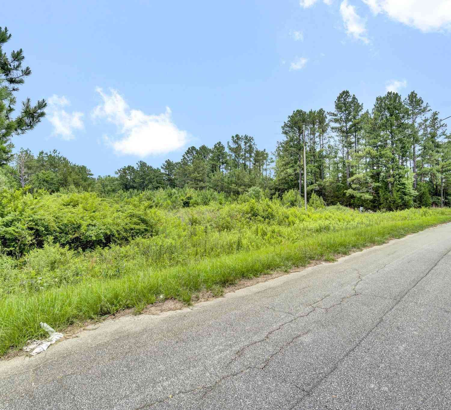 Vacant Land For Sale - 00 Stomp Springs<br/> Clinton, SC 29325