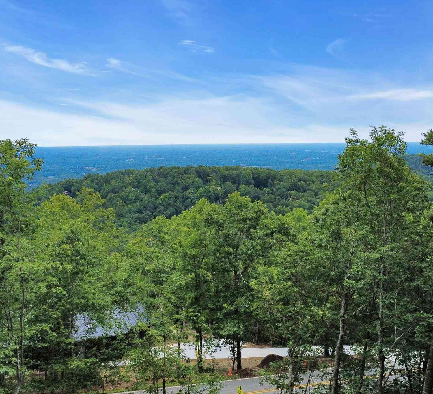 Vacant Land For Sale - 1321 Altamont<br/> Greenville, SC 29609