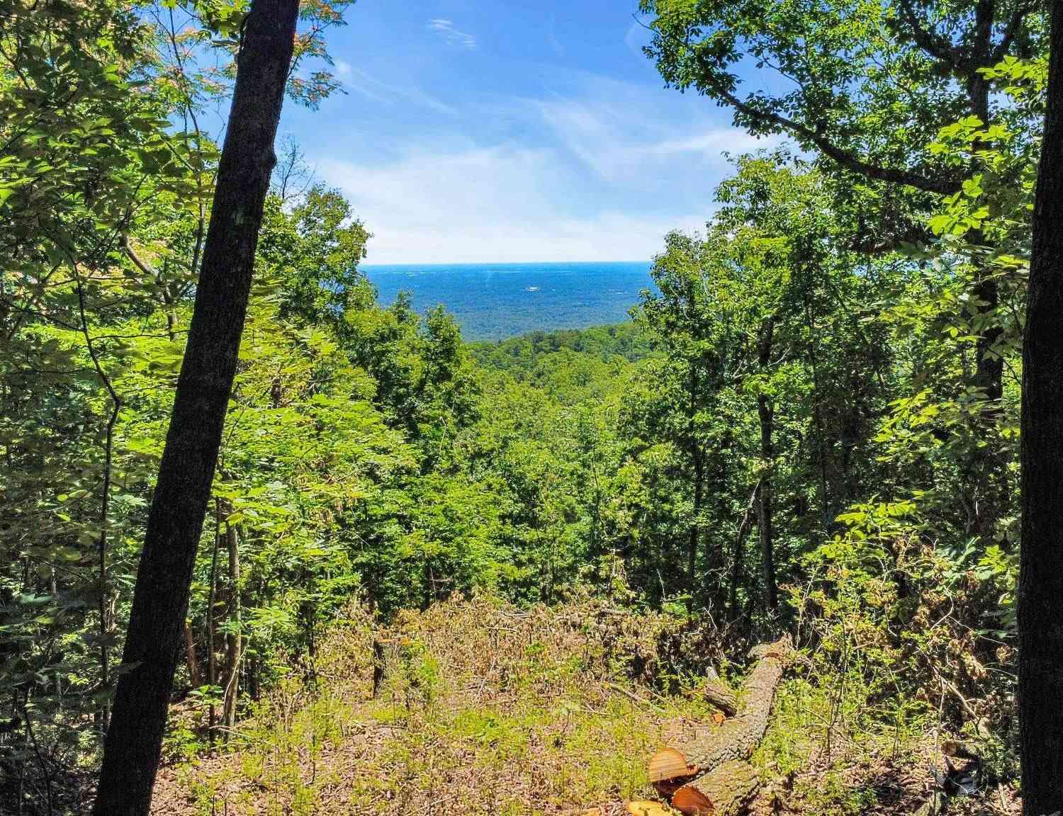 Vacant Land For Sale - 1325 Altamont<br/> Greenville, SC 29609