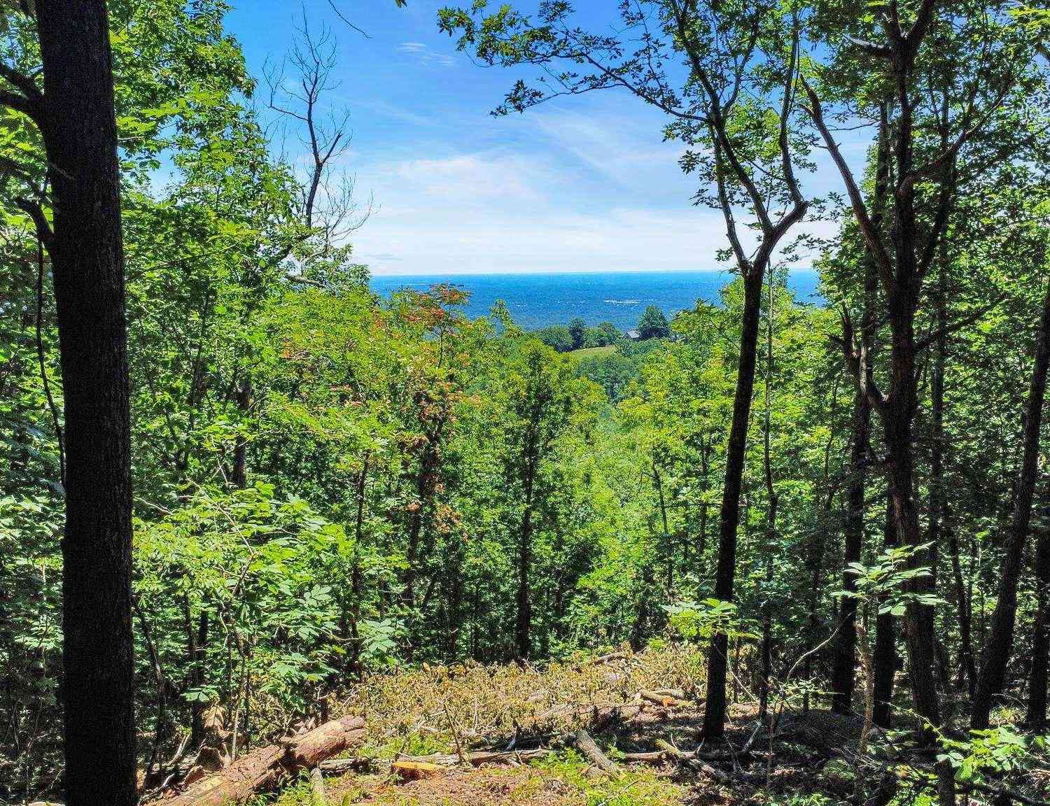 Vacant Land For Sale - 1329 Altamont<br/> Greenville, SC 29609