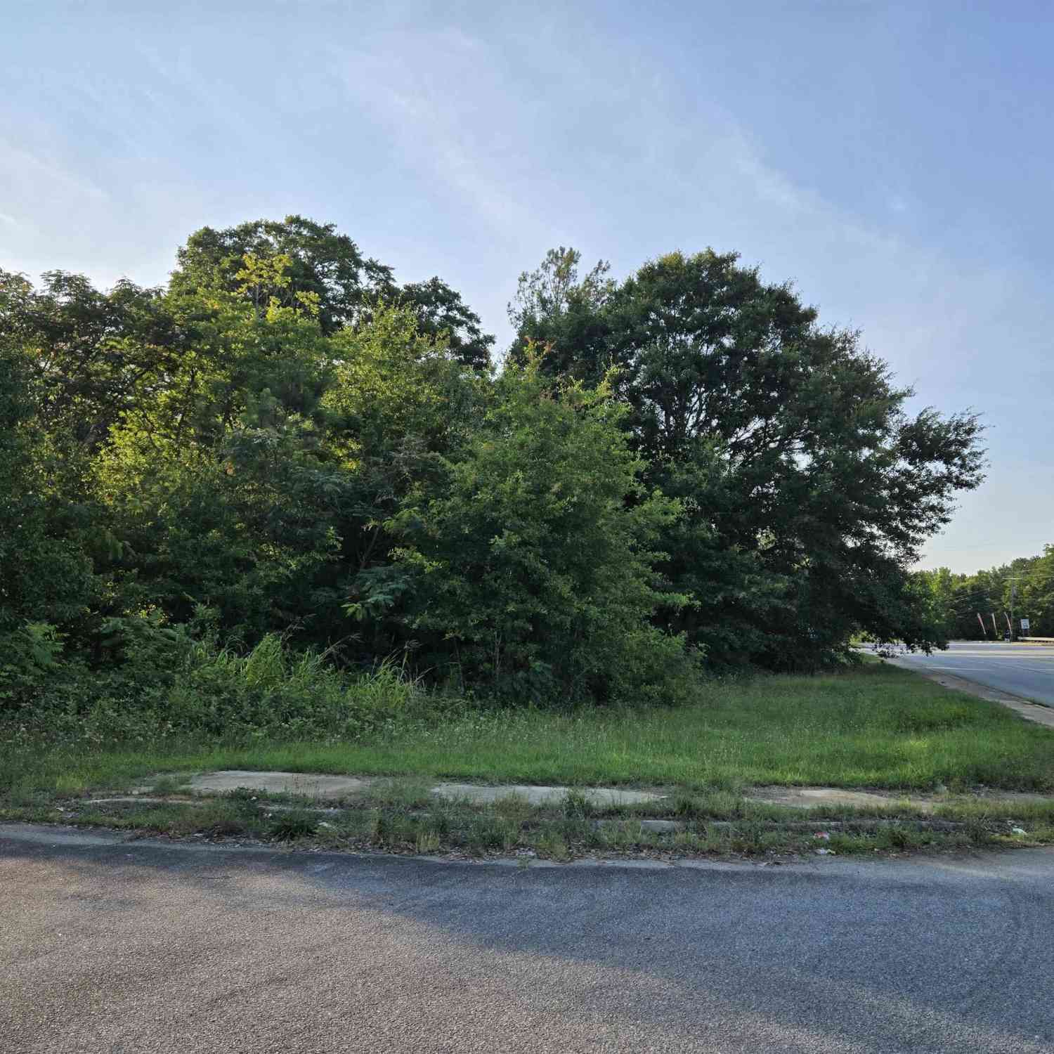 Vacant Land For Sale - 00 Cann<br/> Iva, SC 29655